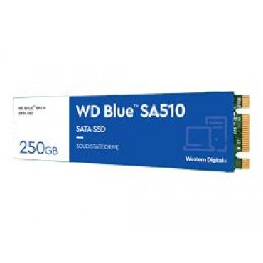 SSD|WESTERN DIGITAL|Blue SA510|250GB|M.2|SATA 3.0|Write speed 440 MBytes/sec|Read speed 555 MBytes/sec|2.38mm|TBW 100 TB|MTBF 1750000 hours|WDS250G3B0B